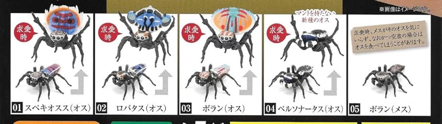 いきもの大図鑑　ピーコックスパイダー　全5種コンプリートセット　新品未開封品① バンダイ いきもの大図鑑 ピーコックスパイダー 全5種フルセット